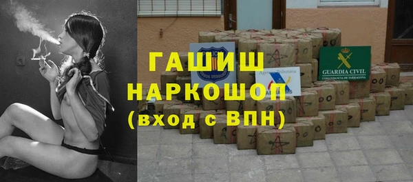 гашик Сосновка