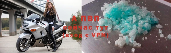 гашик Сосновка