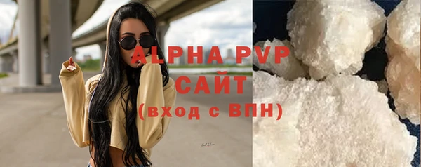 гашик Сосновка