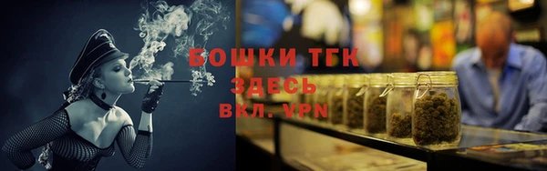 гашик Сосновка
