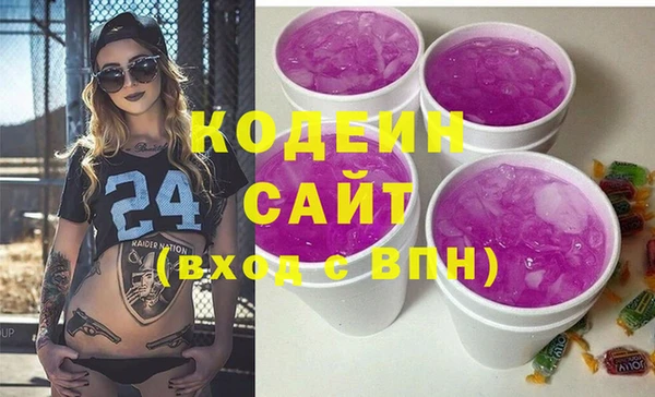 гашик Сосновка