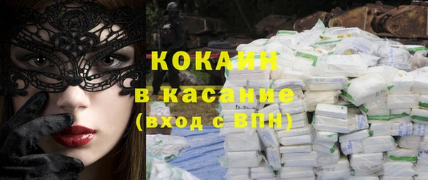 гашик Сосновка