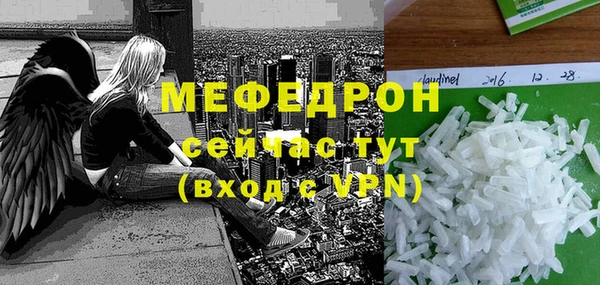 гашик Сосновка
