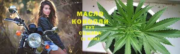 гашик Сосновка