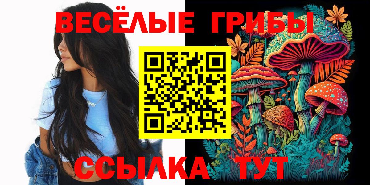 Галлюциногенные грибы GOLDEN TEACHER Чита