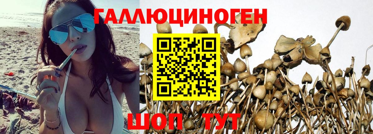 Псилоцибиновые грибы прущие грибы  Вход с VPN  как найти закладки  Чита 