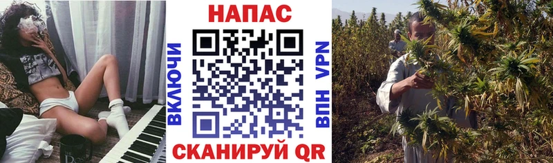 где можно купить наркотик  Чита  KRAKEN ссылки  Шишки марихуана THC 21% 